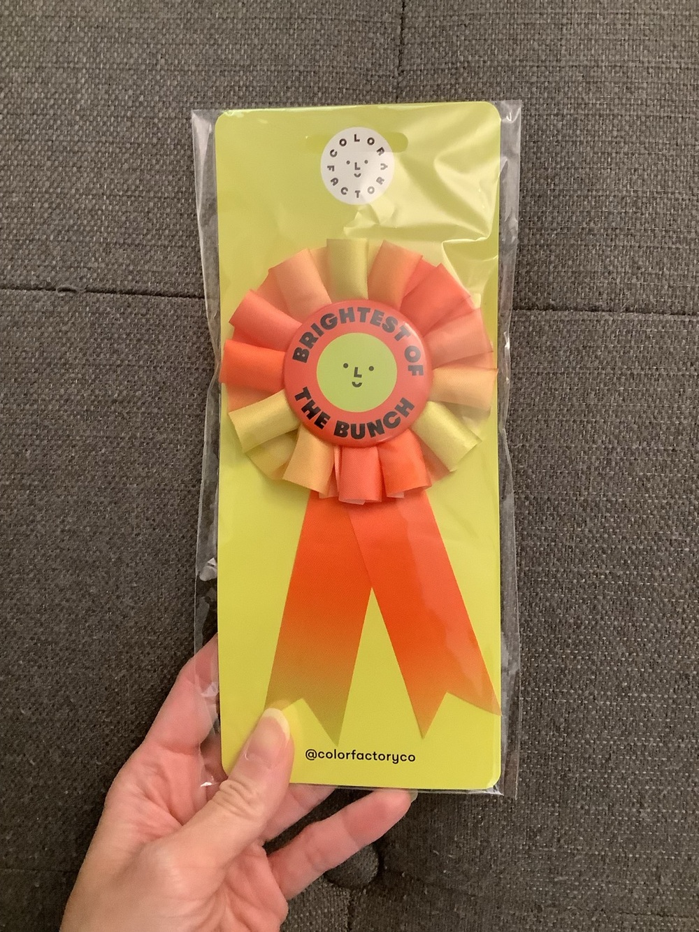 Color factory award ribbon pin orange brightest of the bunch brand new
